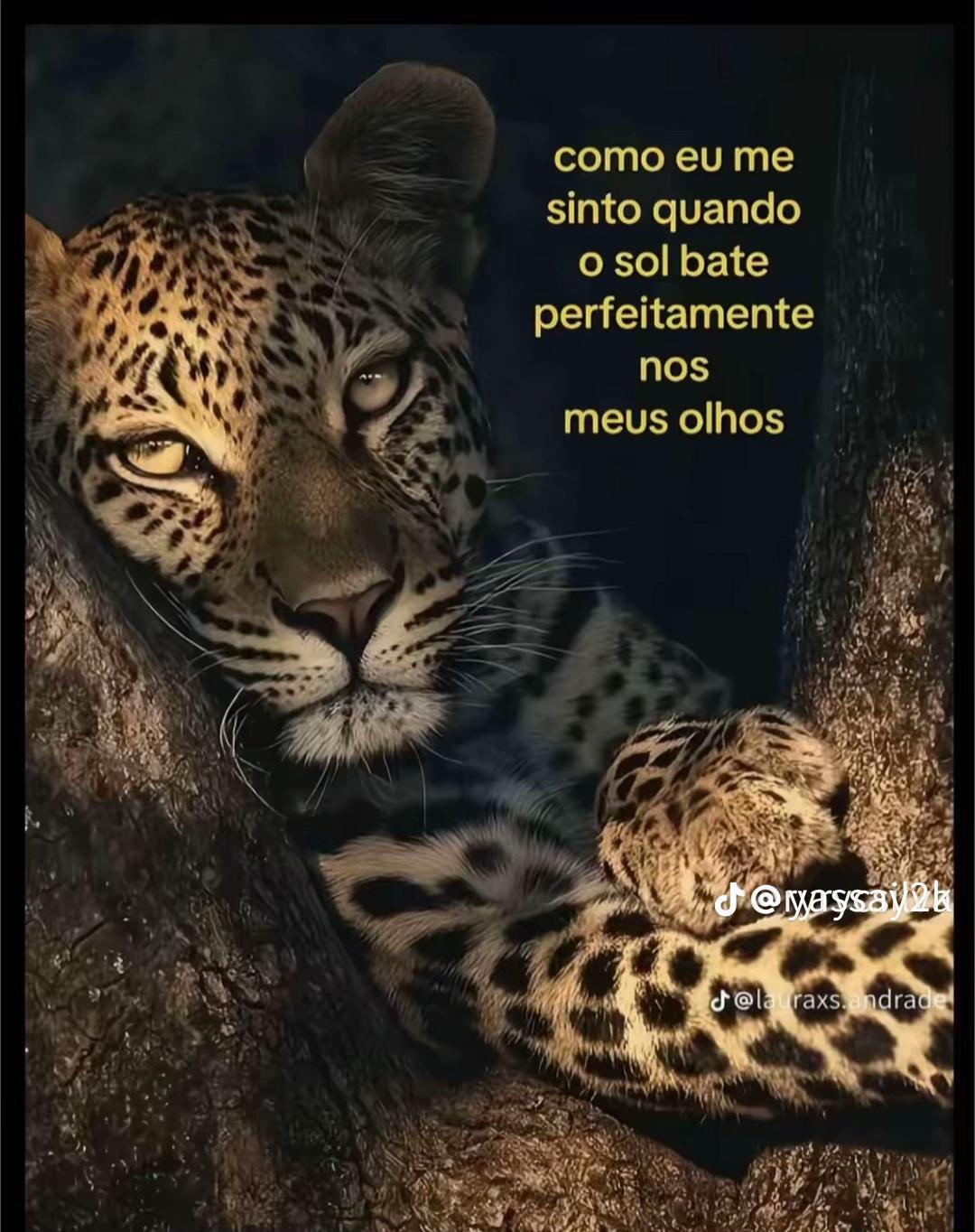 @ajessica.a