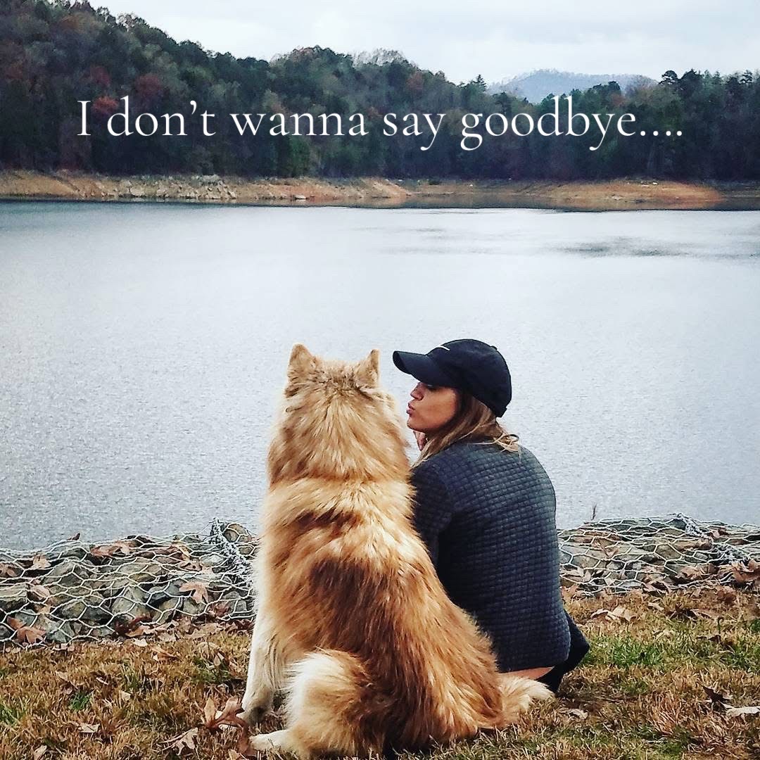 @sue.em_boomer