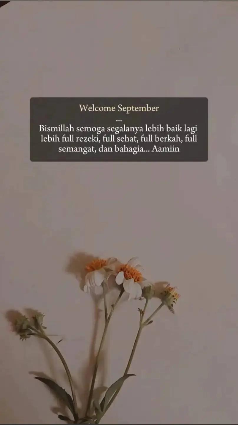 @🌷🌸 mawar Bodas🌸🌷