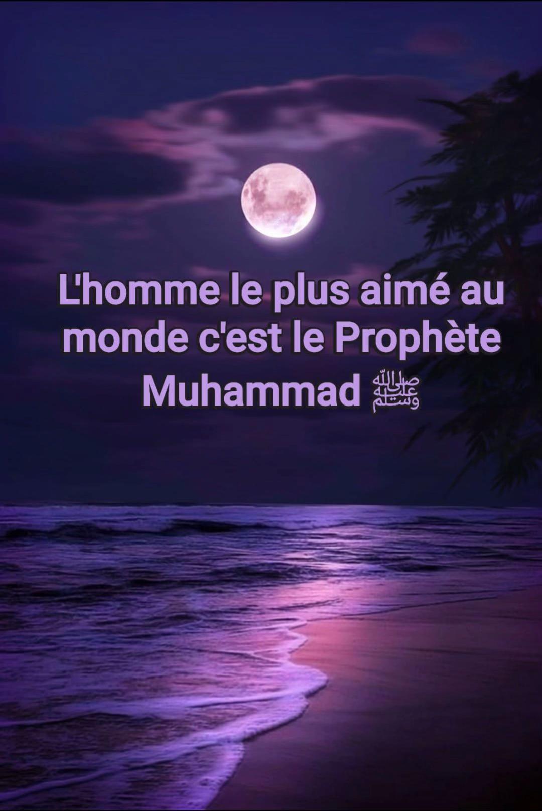 @❣️👌Amdy salam 💚