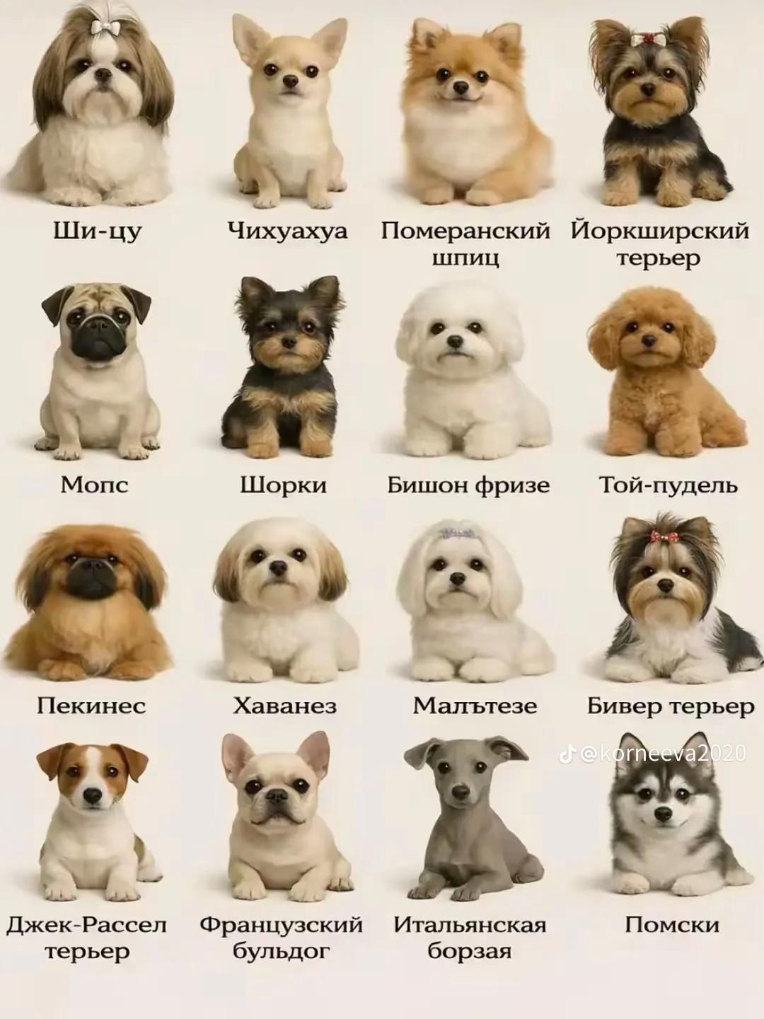 @🎧ྀིྀི 𝓐𝓻𝓲𝓪𝓷𝓪 🎧ྀིྀི