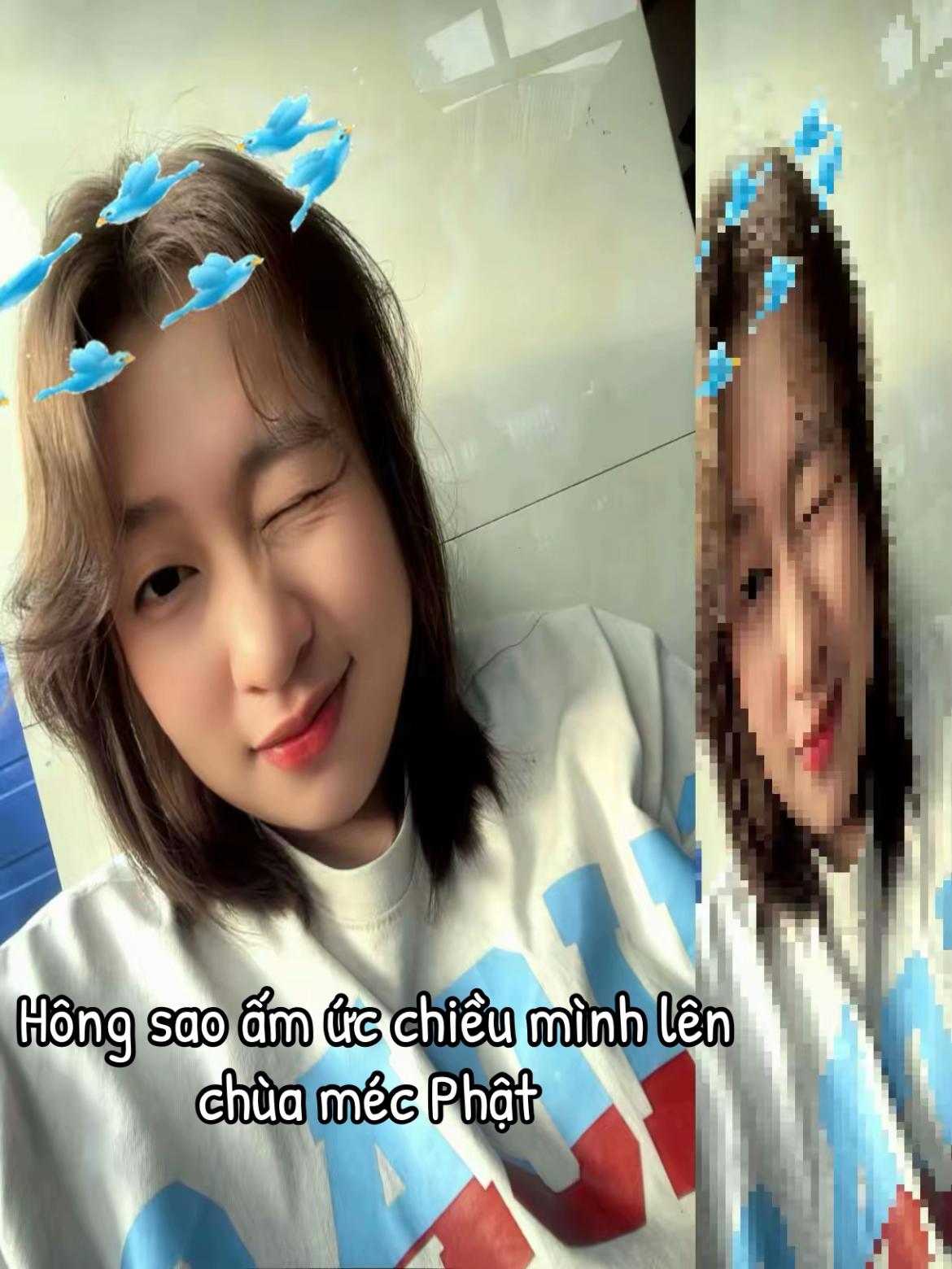 @Hạt Giống tâm Thần 🤡