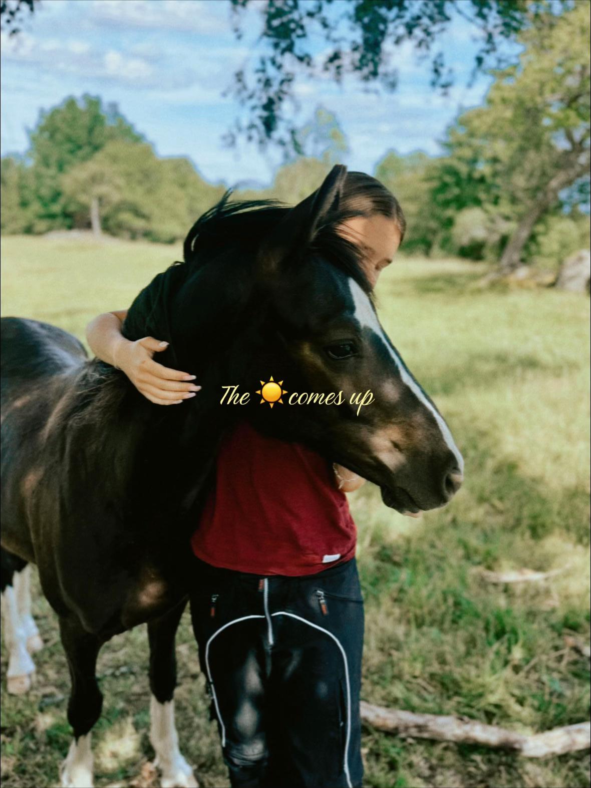 @𝐌𝐞𝐣𝐚 𝐖𝐚𝐡𝐥𝐬𝐭𝐨̈𝐦