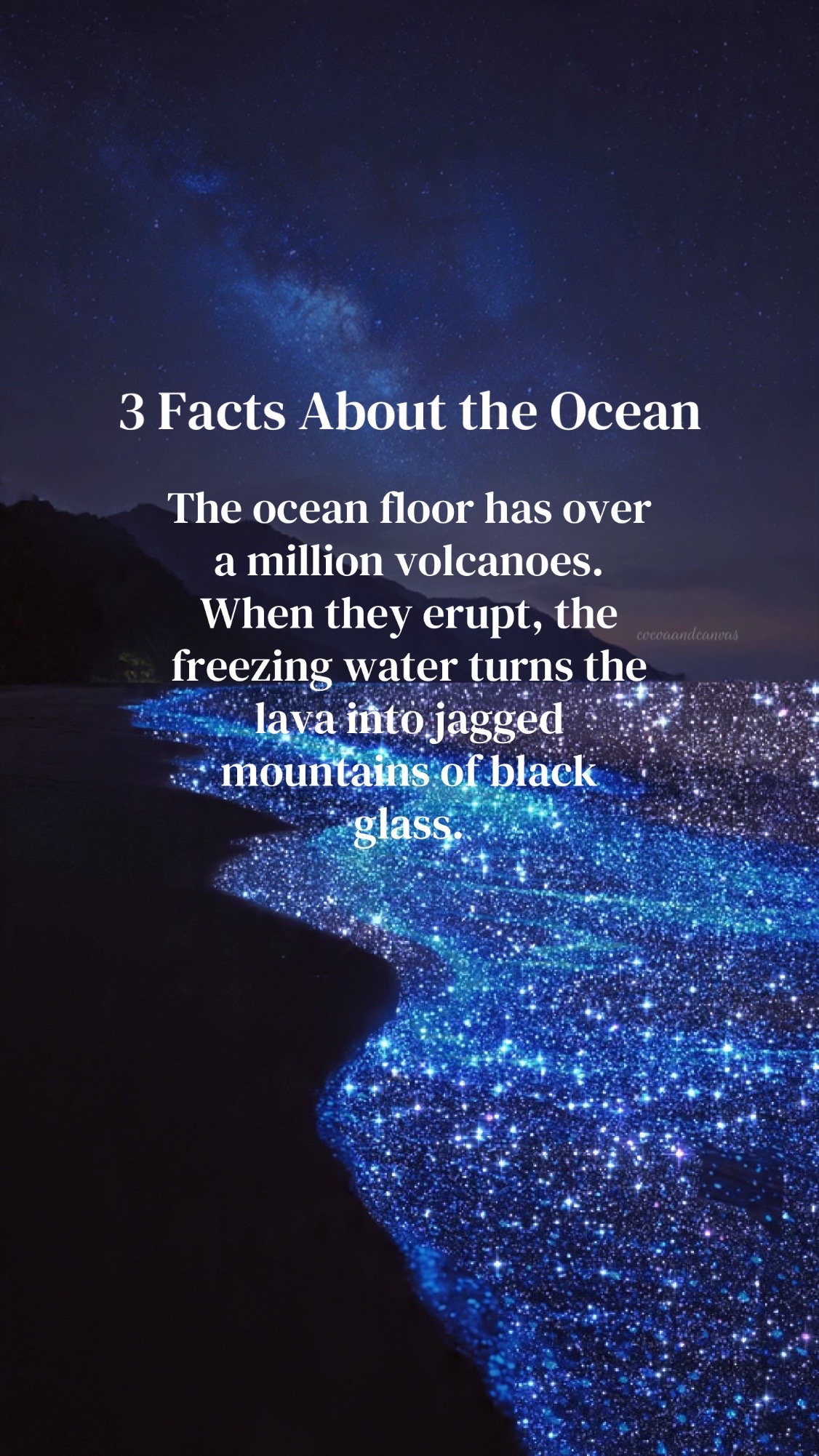 @cocoa&canvas.facts🌈