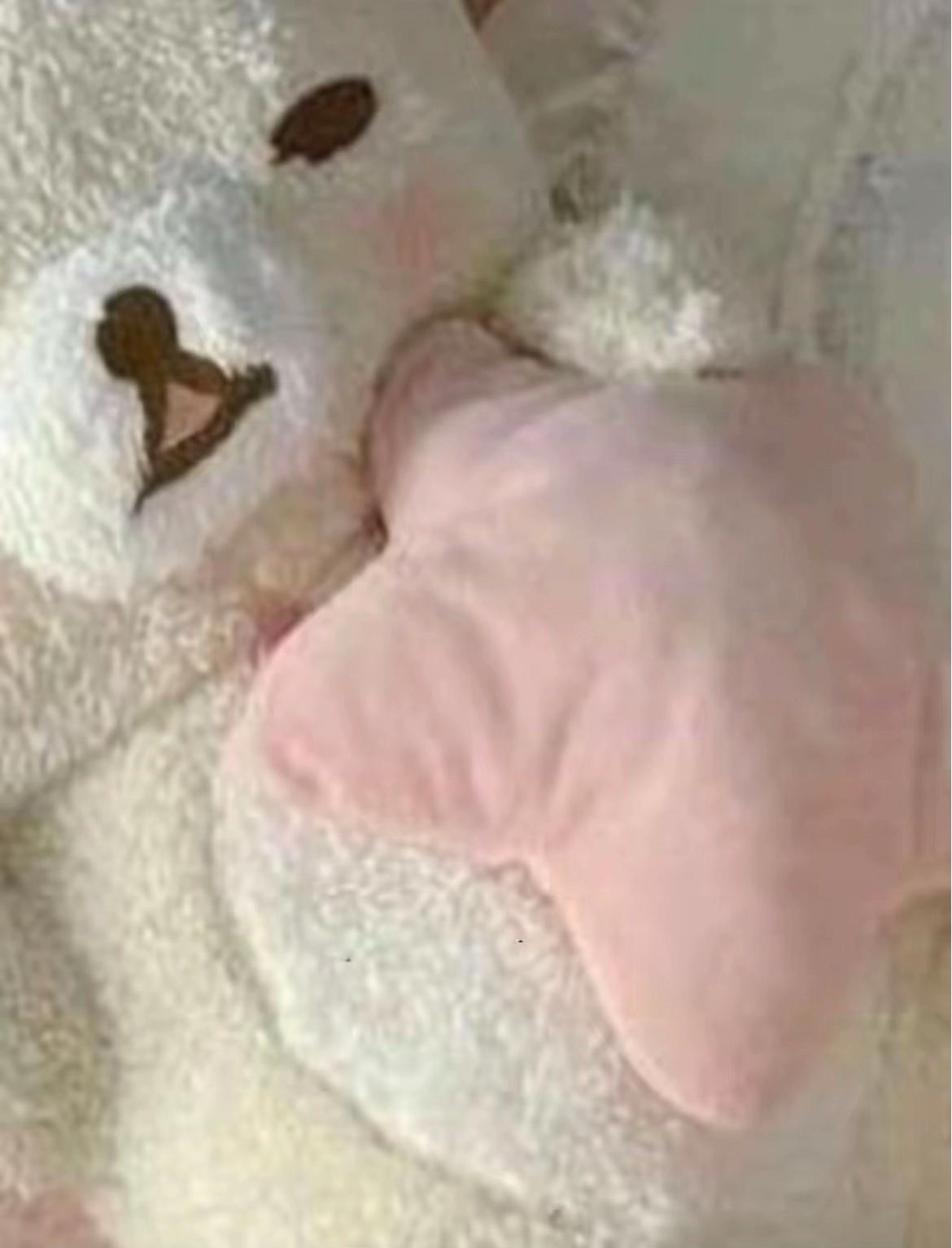 @๐ๆ