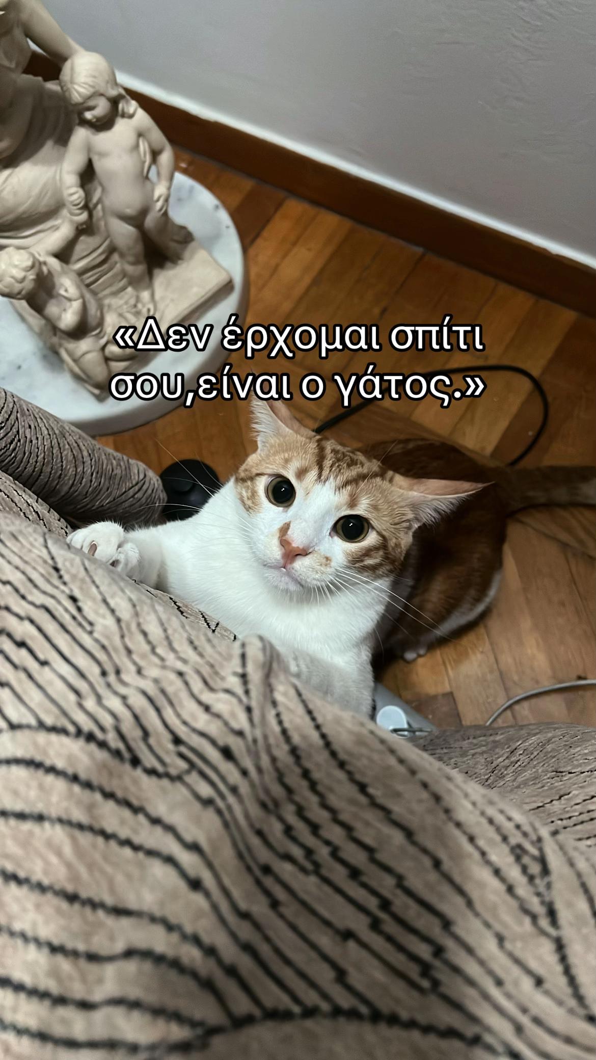 @444__🦁🦁
