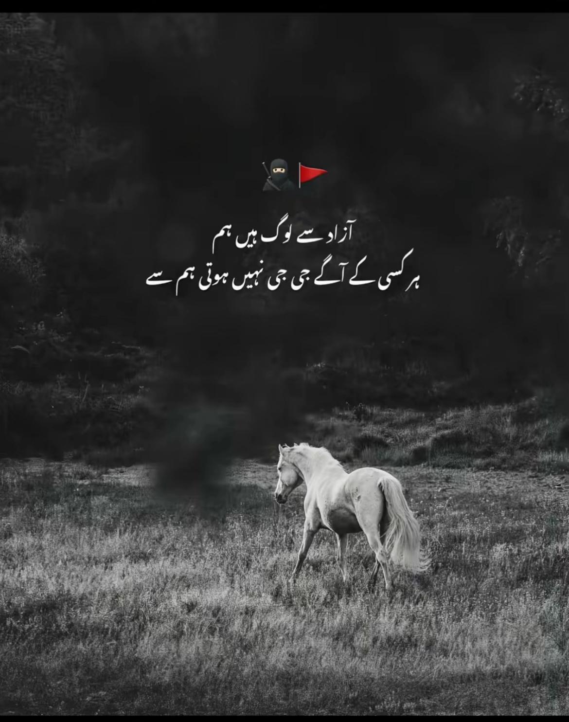 @thefarooqaslam