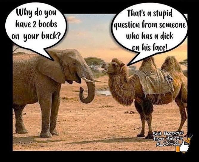 @Buckeye_Beth1