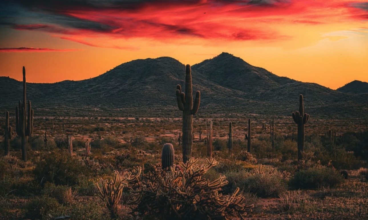 @☀️🌵Arizona 🌵 ☀️