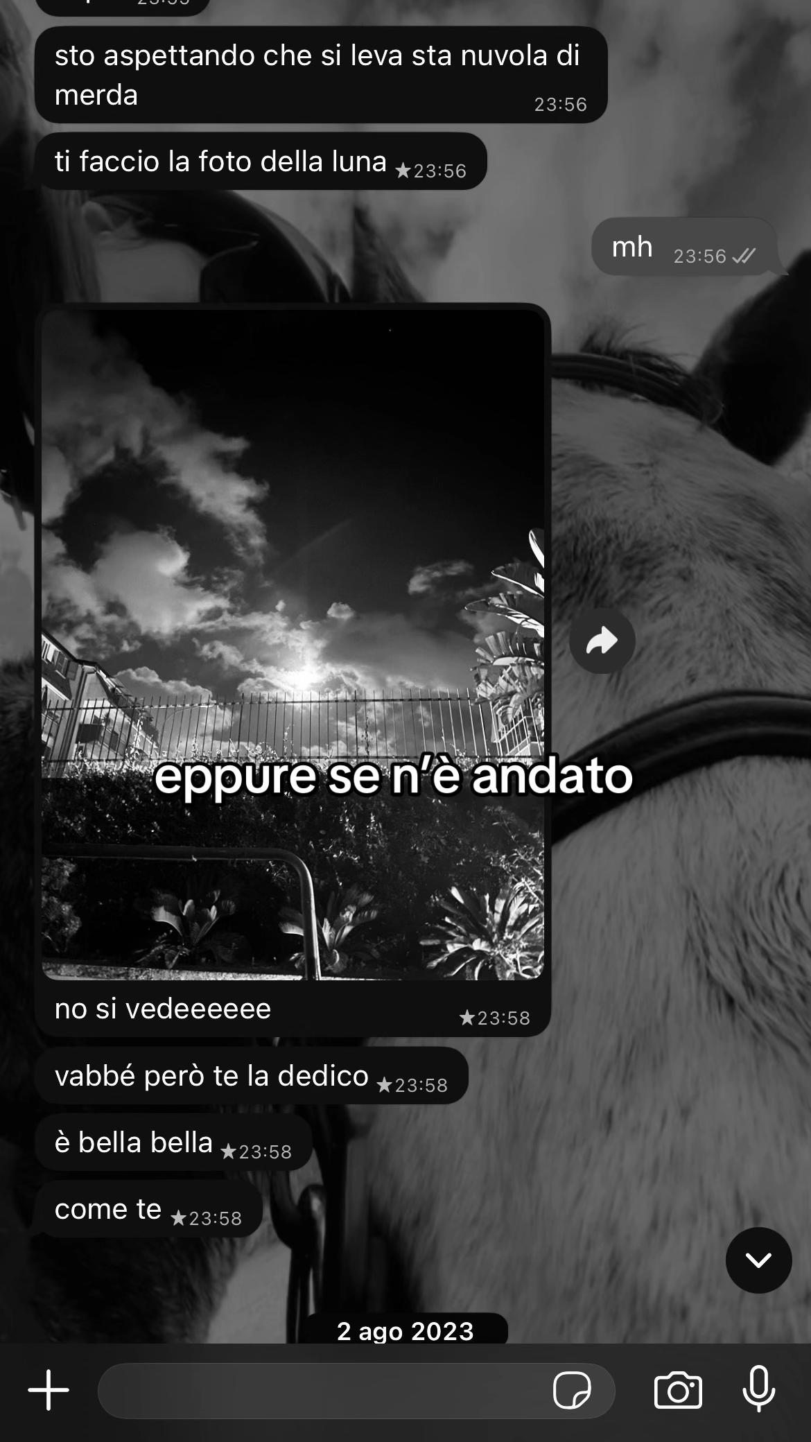 @alyx🐈&zwj;⬛