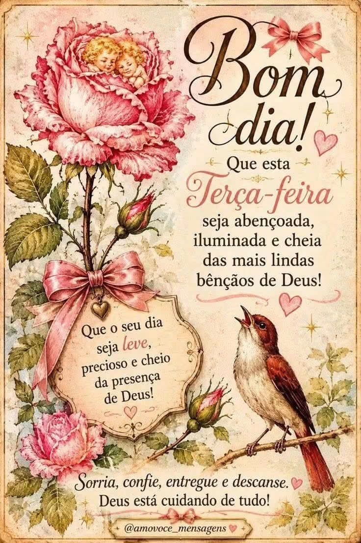 @leilaalves1617