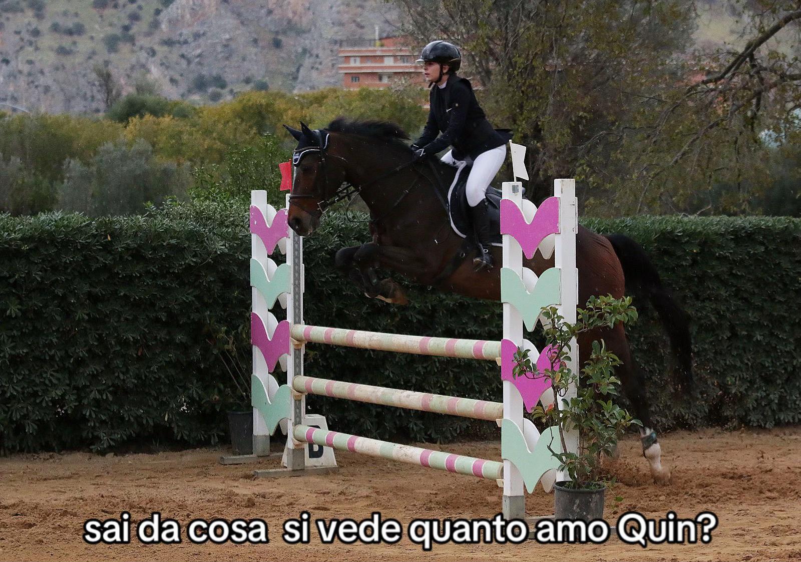 @Eleonora scrima