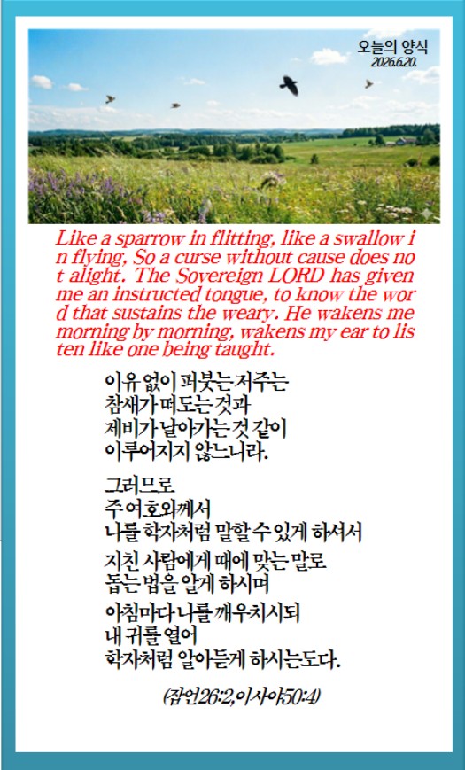 @피켓전도 김종일 목사