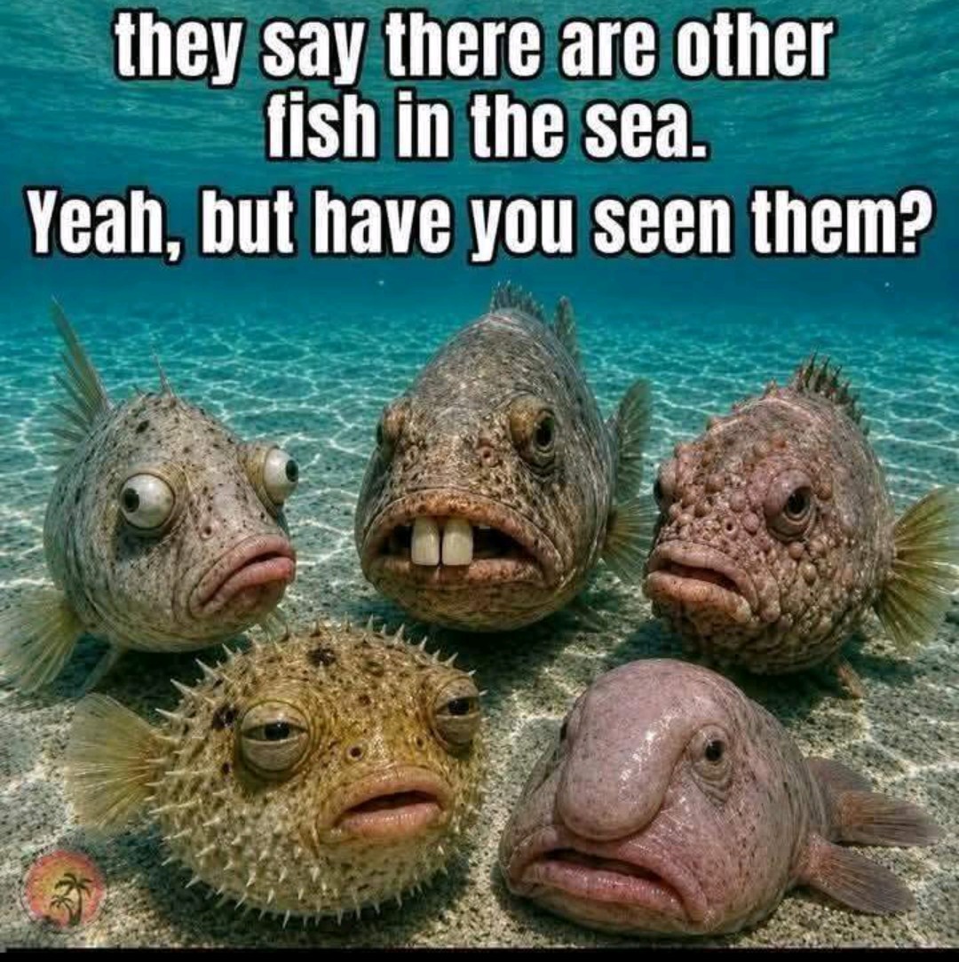 @johnegan562