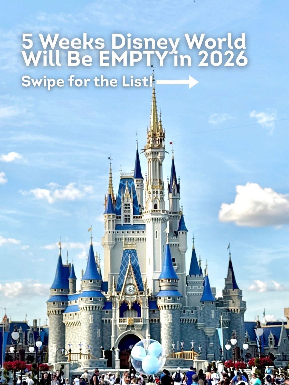 @Disney Trip&Tips With Tiny