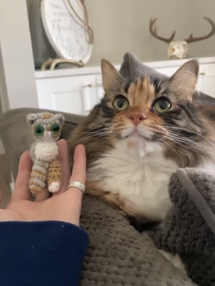 @blackcatcrochet<𝟑