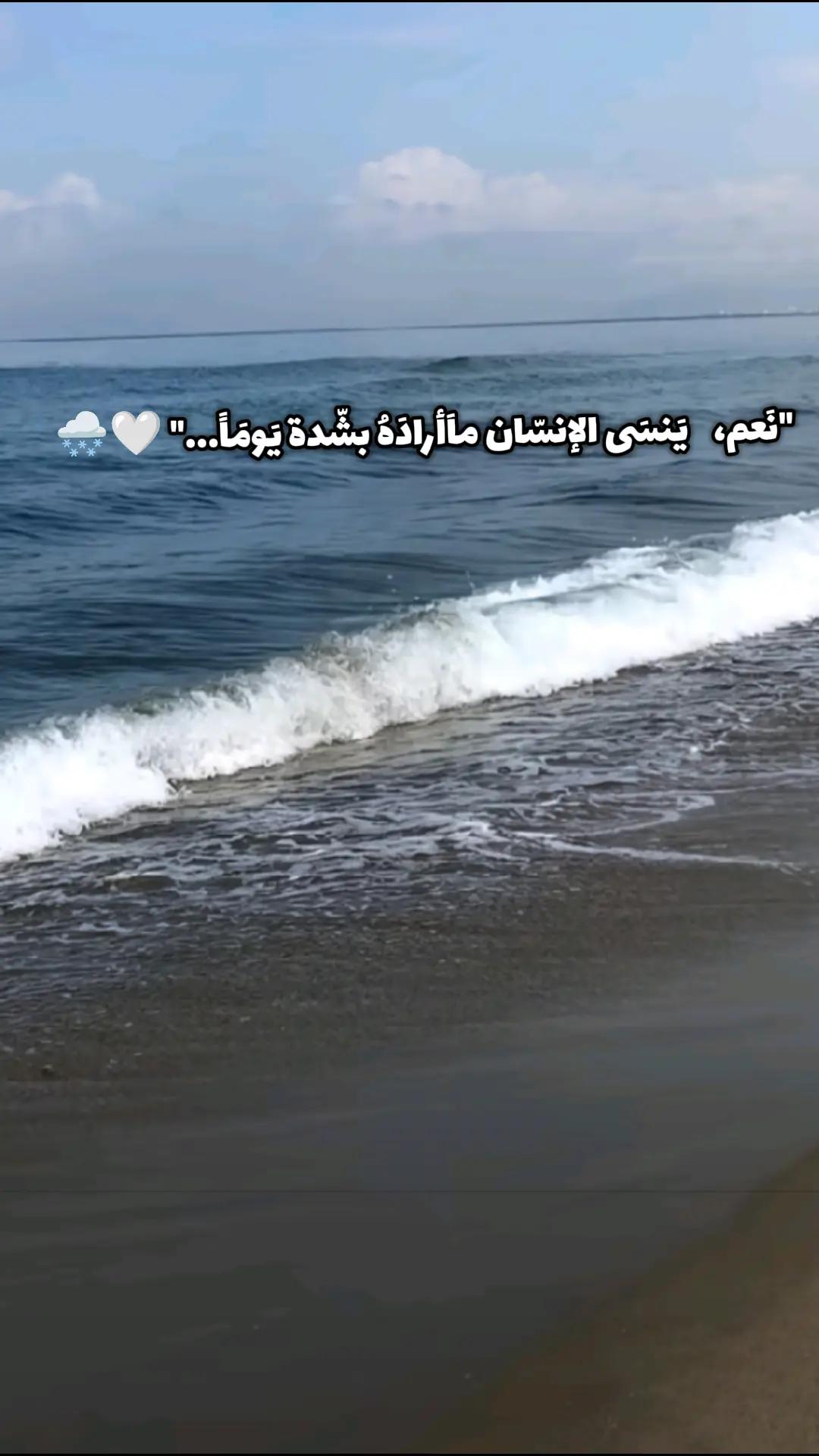 @𝑩𝑶𝑳𝑳𝒀𝑊𝑶𝑶𝐷 ˚🤍