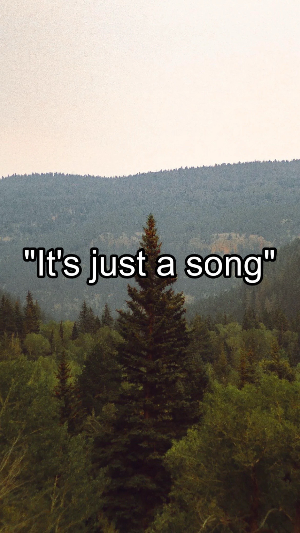 @CountryMusicEnjoyer🤠