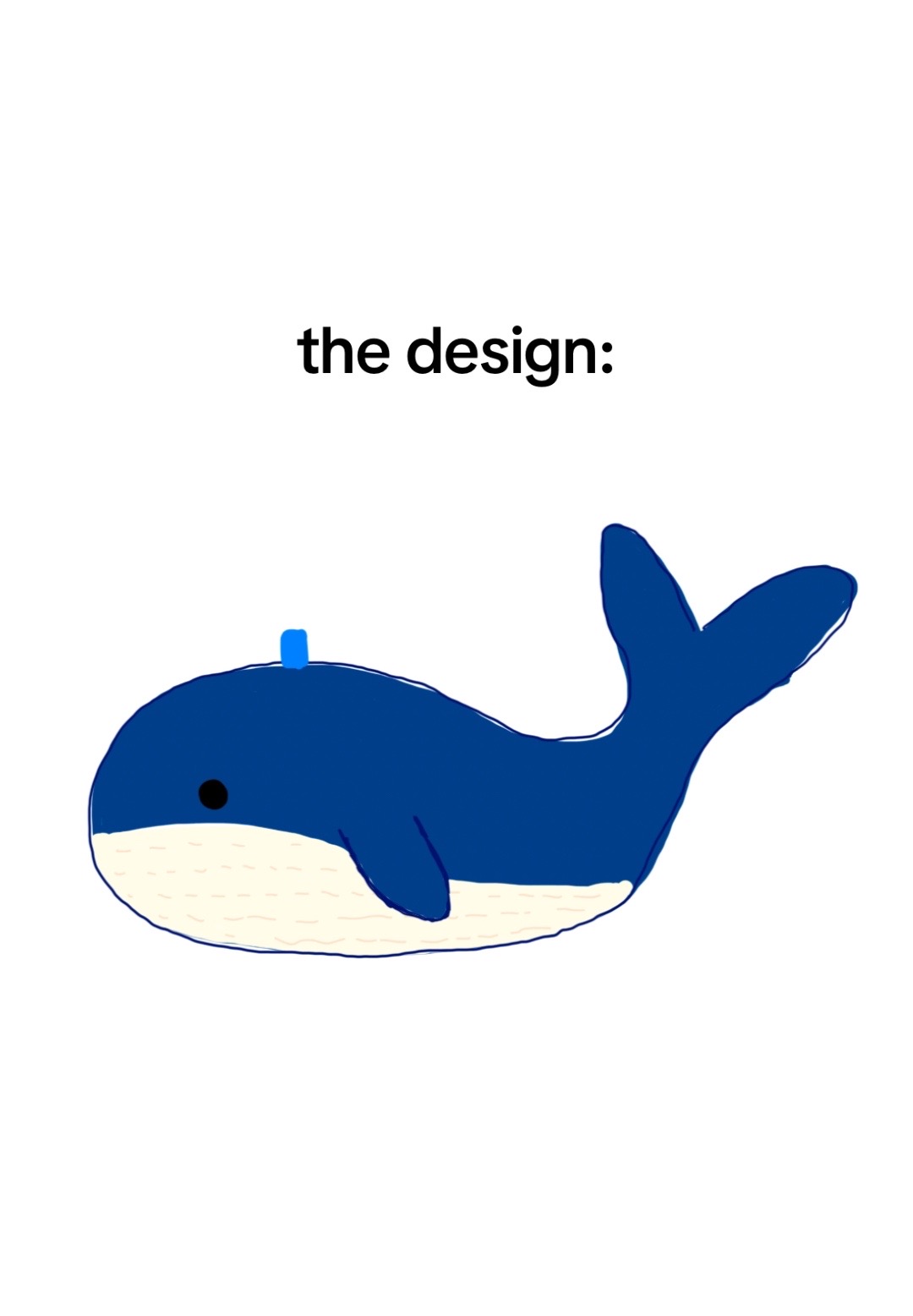 @meow ౨ৎ