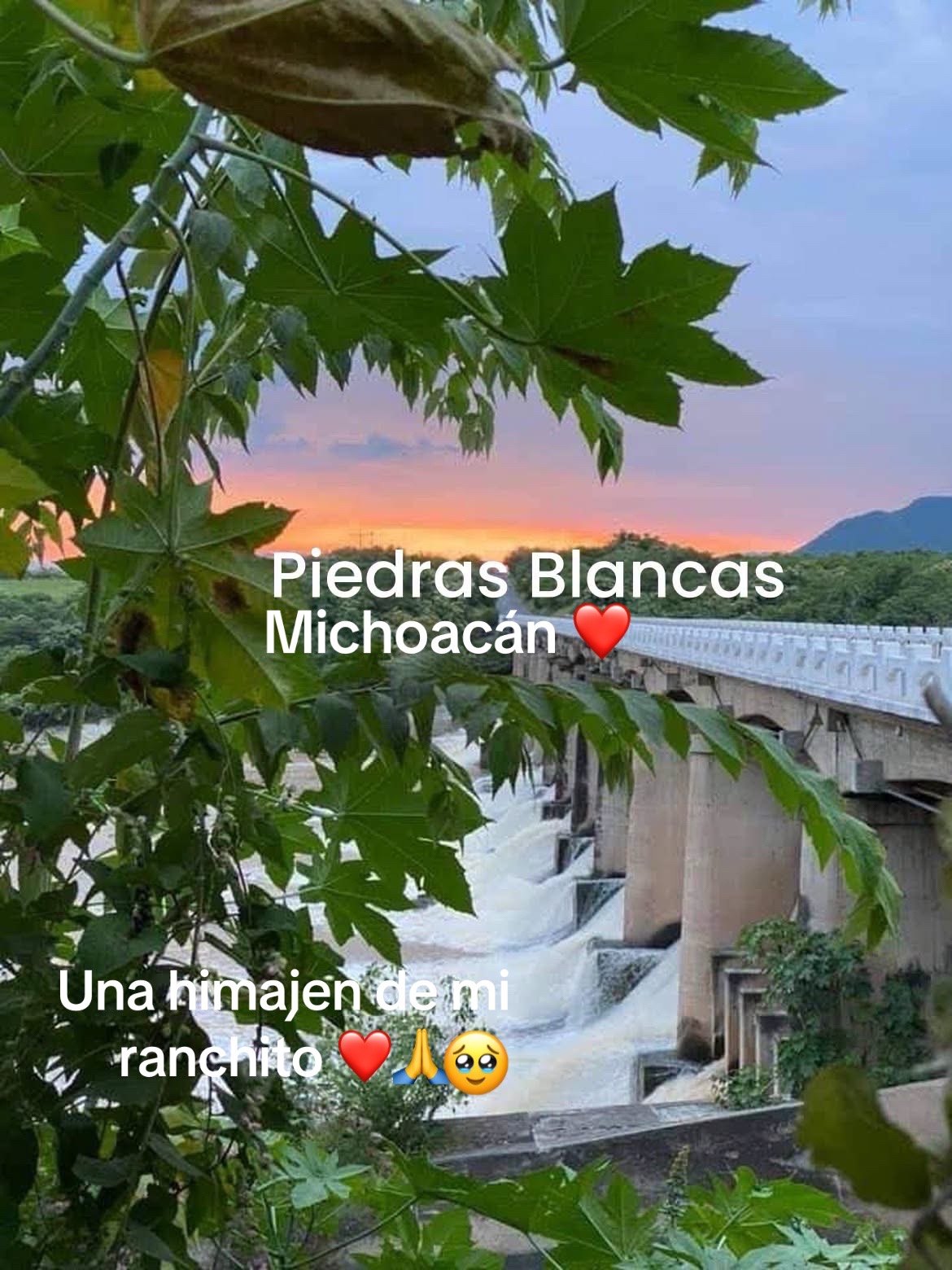 @rosasandoval1010Rosy Sandoval