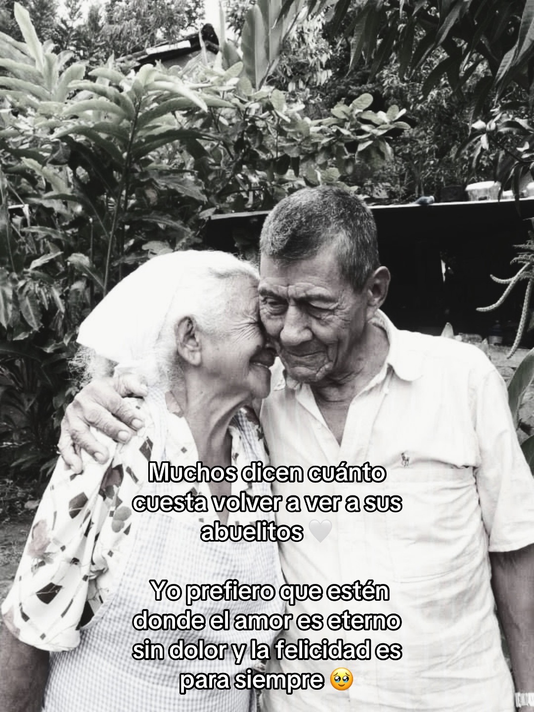 @𝑳𝒂𝑺𝒂𝒍𝒗𝒊𝒎𝒂𝒎𝒊𝒊777🩷