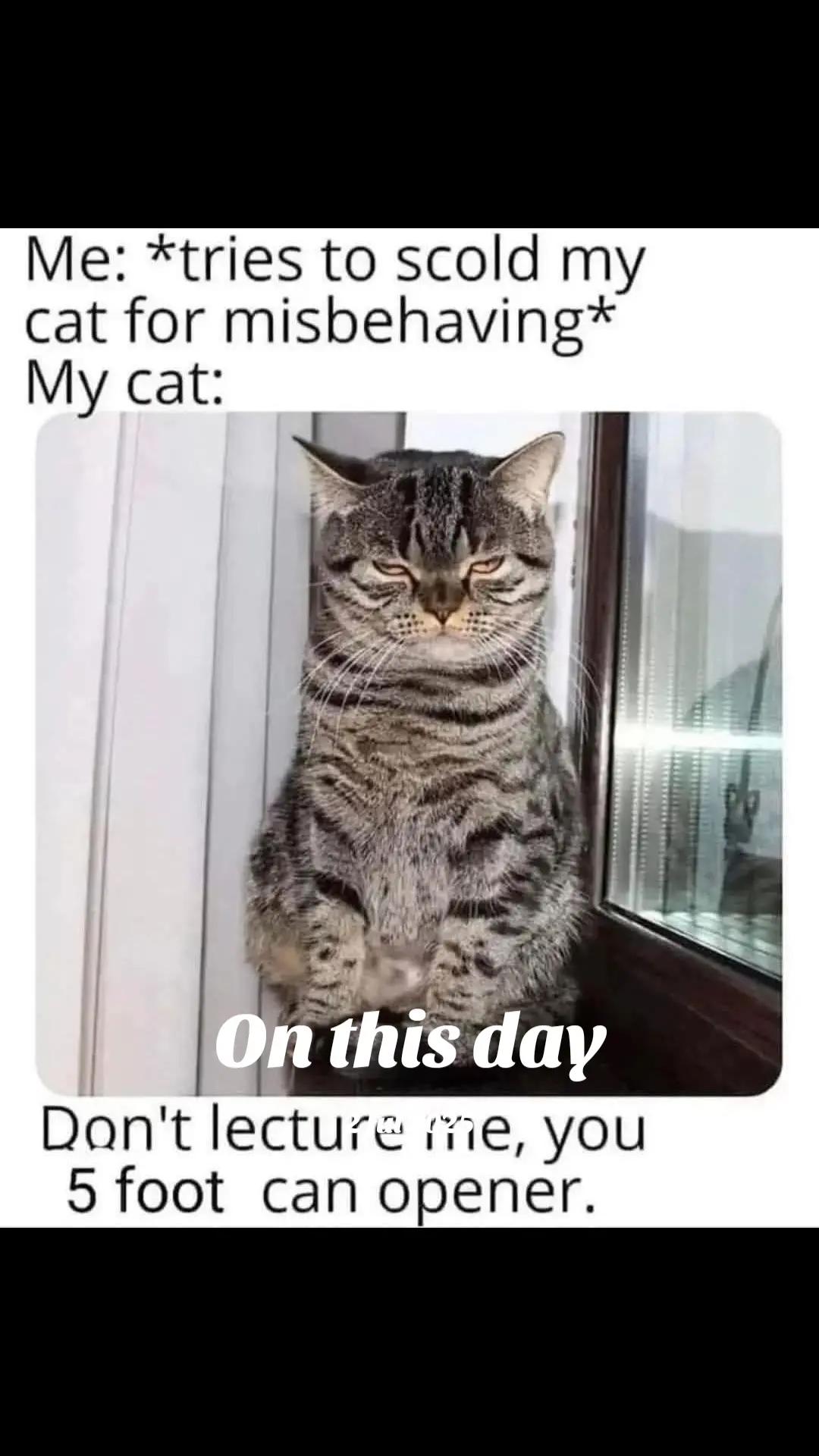 @Kimsartskutch😂😂