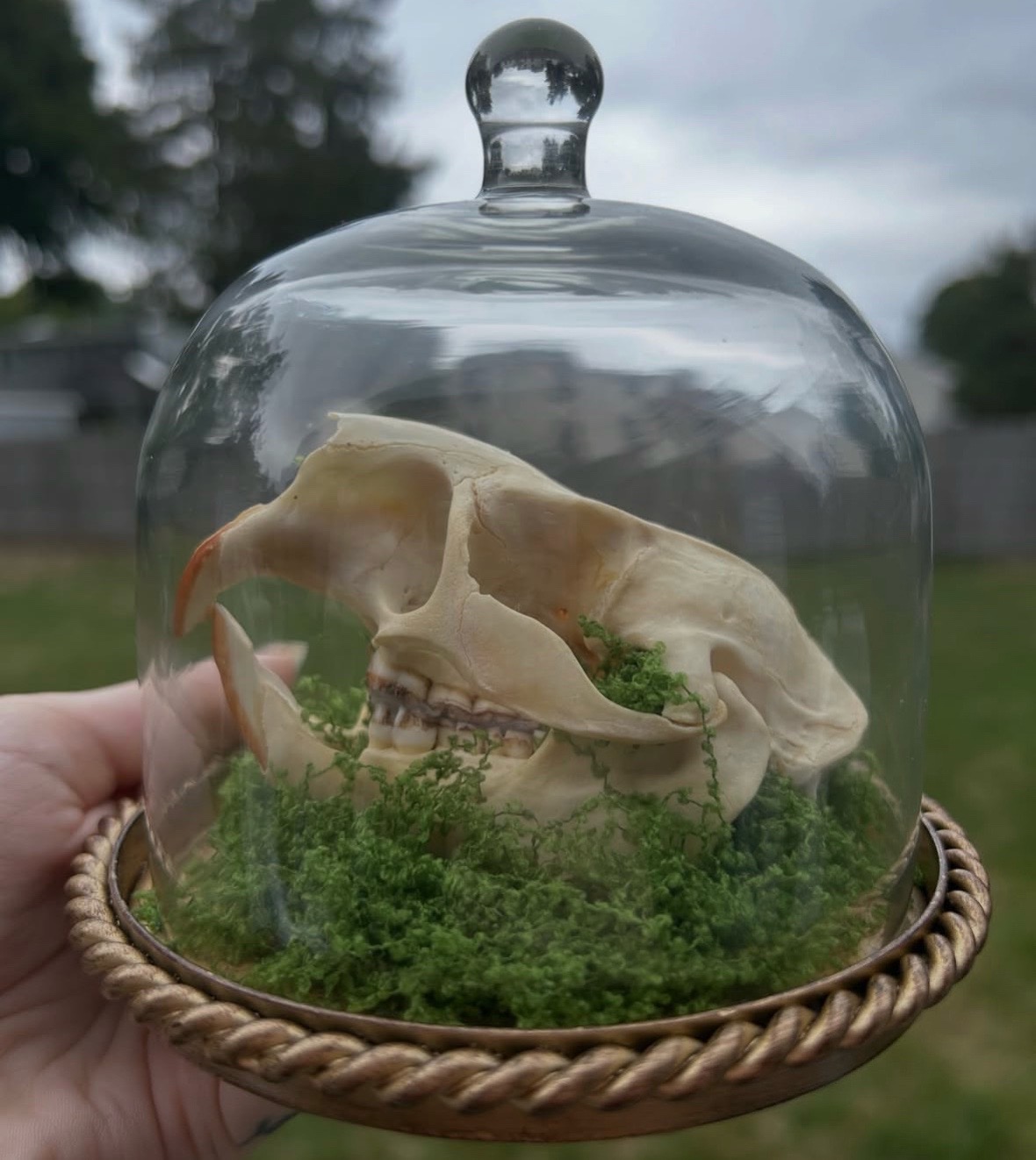 @Moonspun Relics LLC