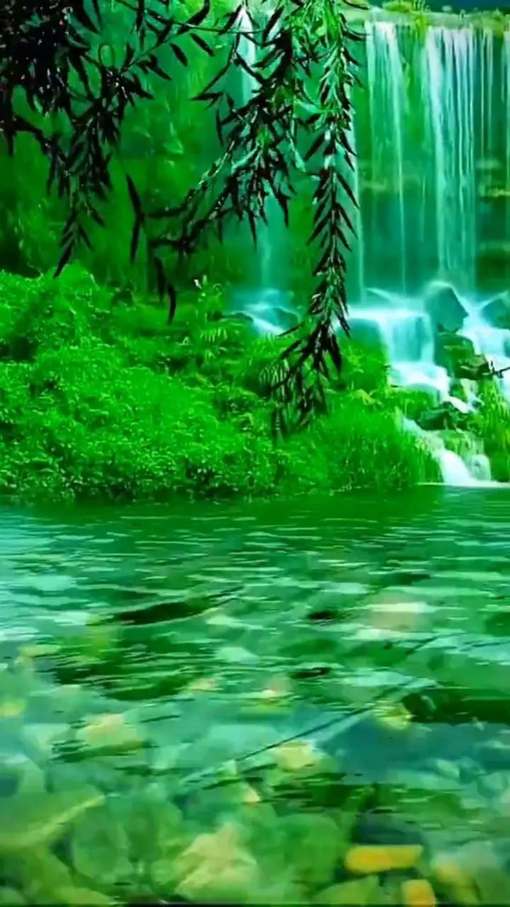 @CorneliaNelly