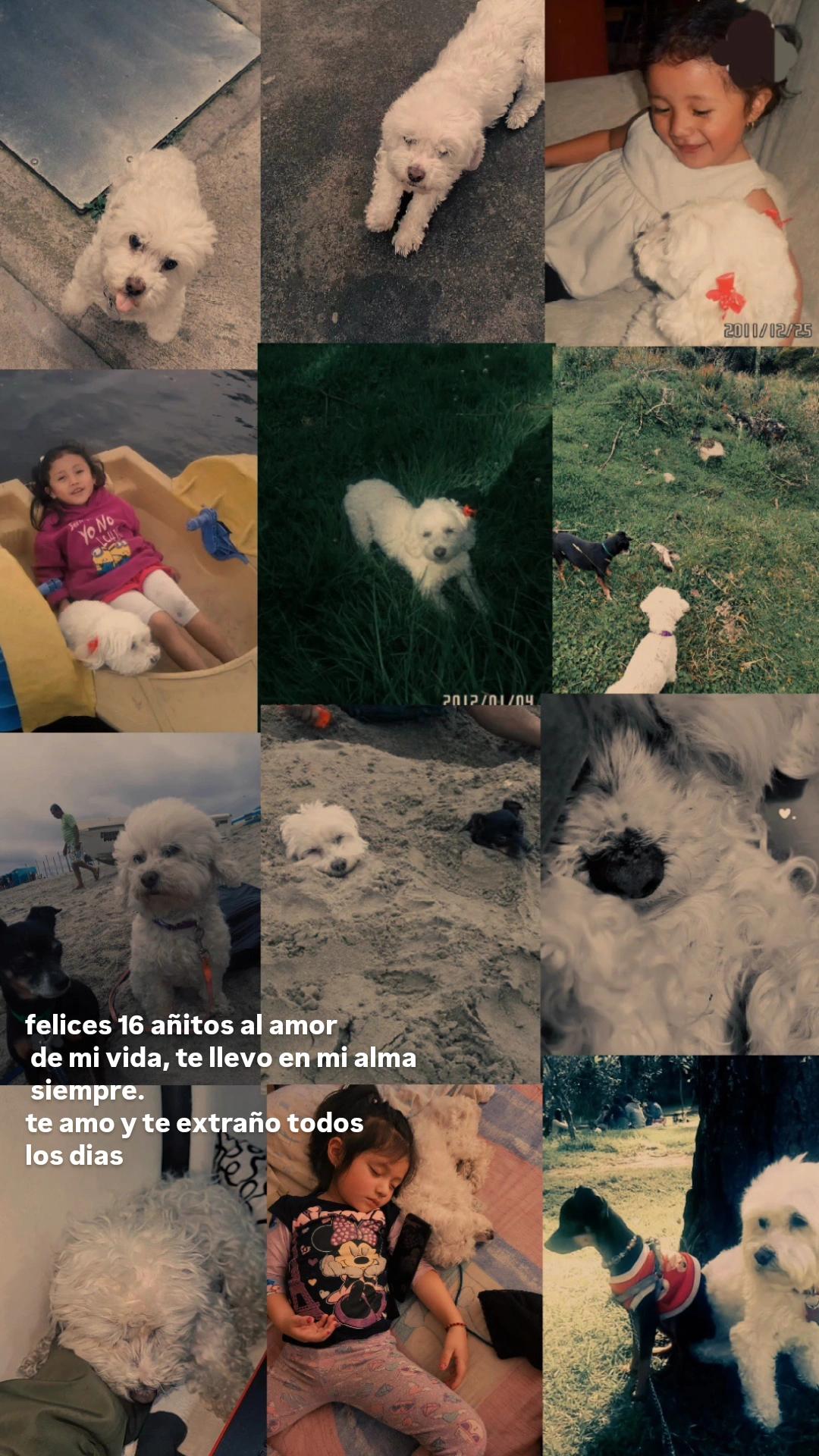 @sisley