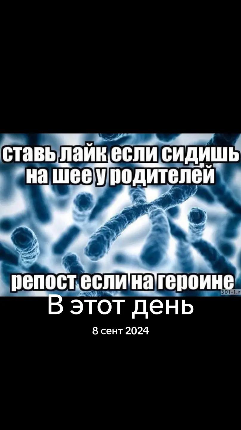 @дімас