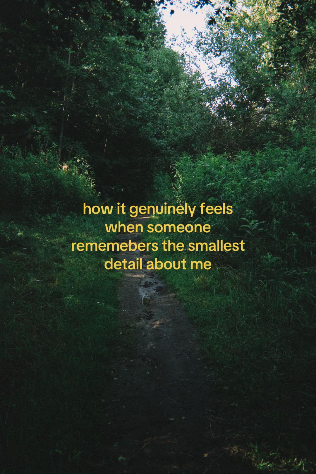 @cat