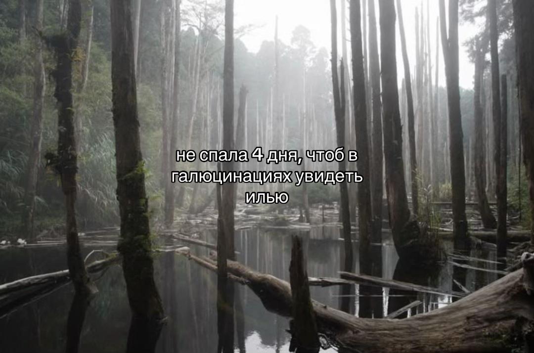 @и🫶🏼