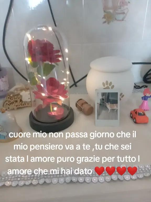 @peppeelucia
