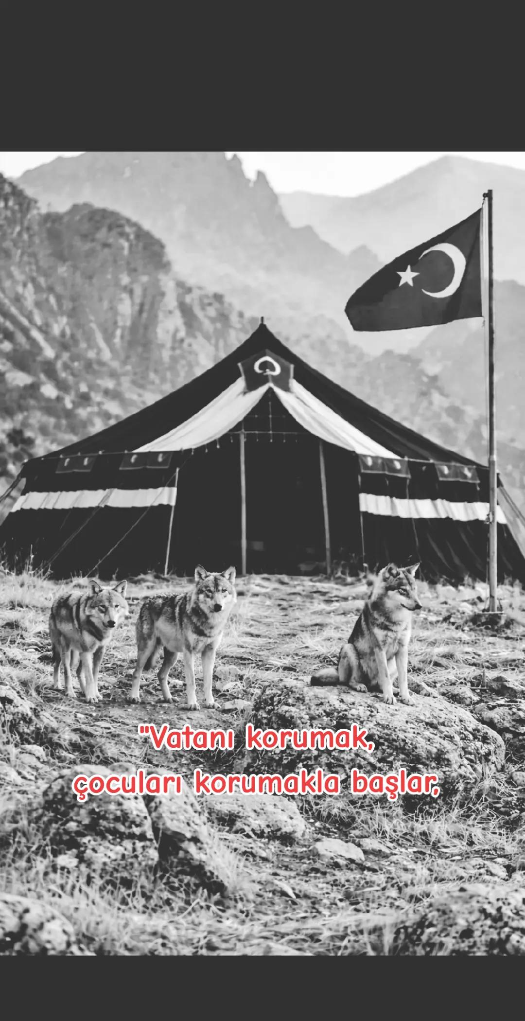@T&uuml;rk Turan birliği