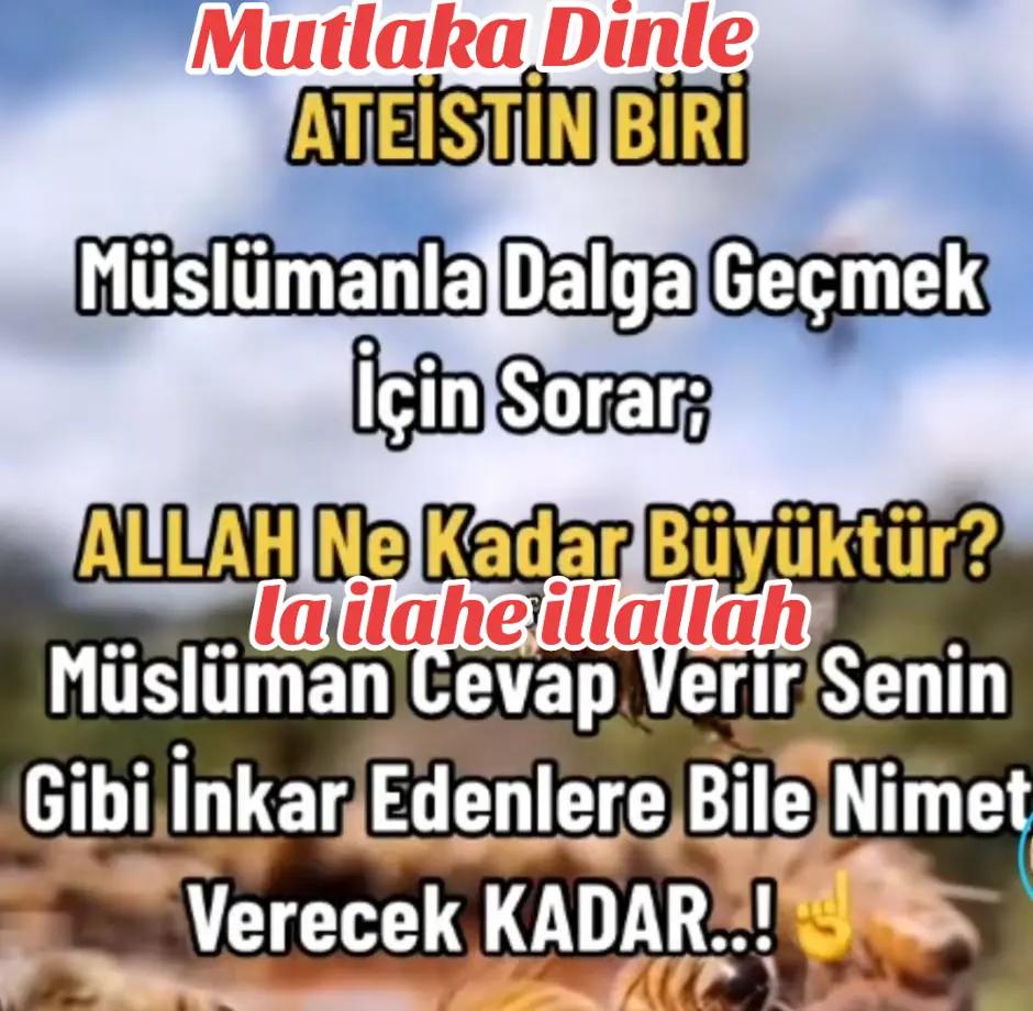 @Yılmaz &Ccedil;ELİK