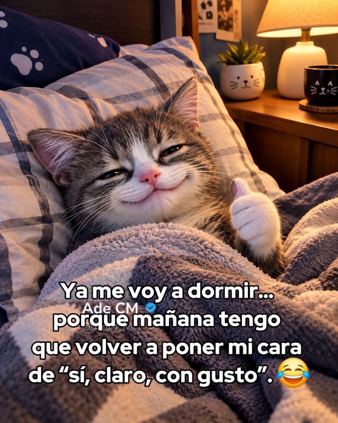 @Alma Baez295