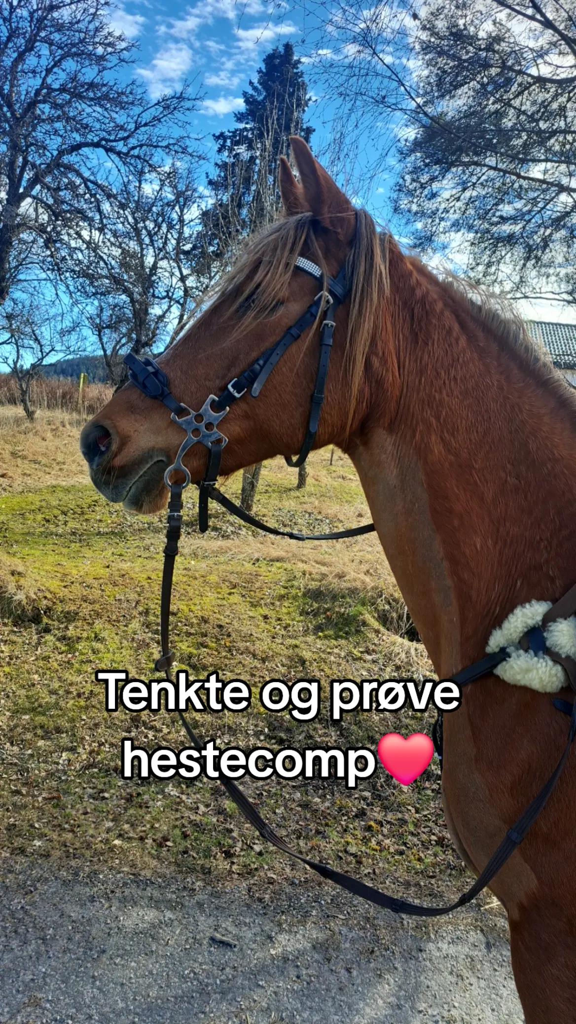 @Madelen Østtveiten Andersen 💗