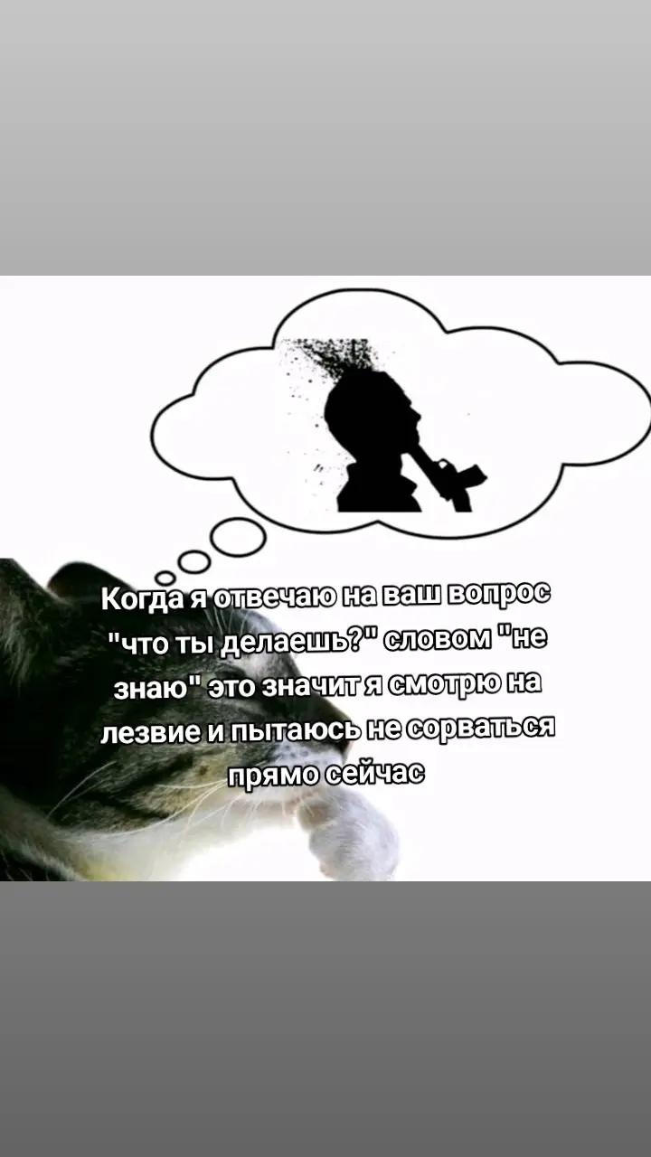 @ᅠ ᅠ ᅠᅠ ᅠ ᅠ .