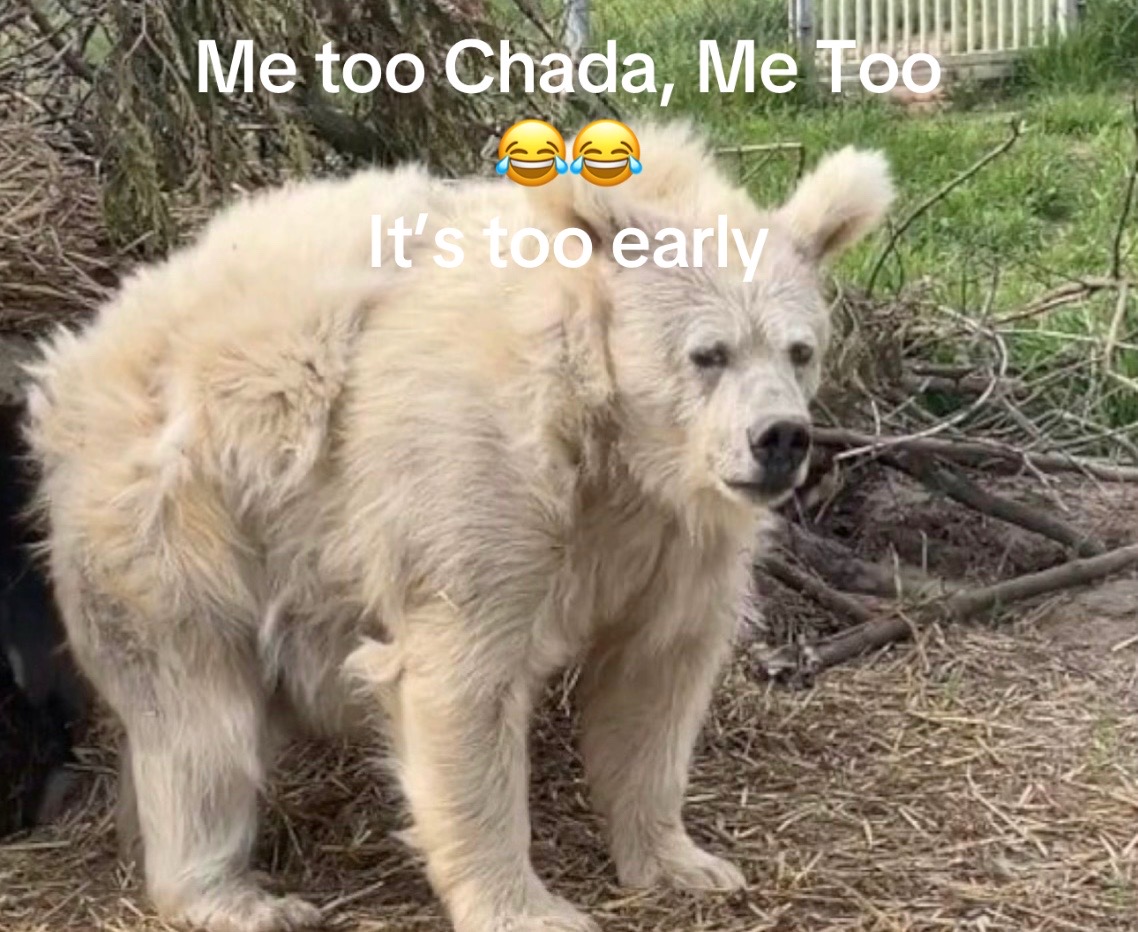 @Michael DeMarco
