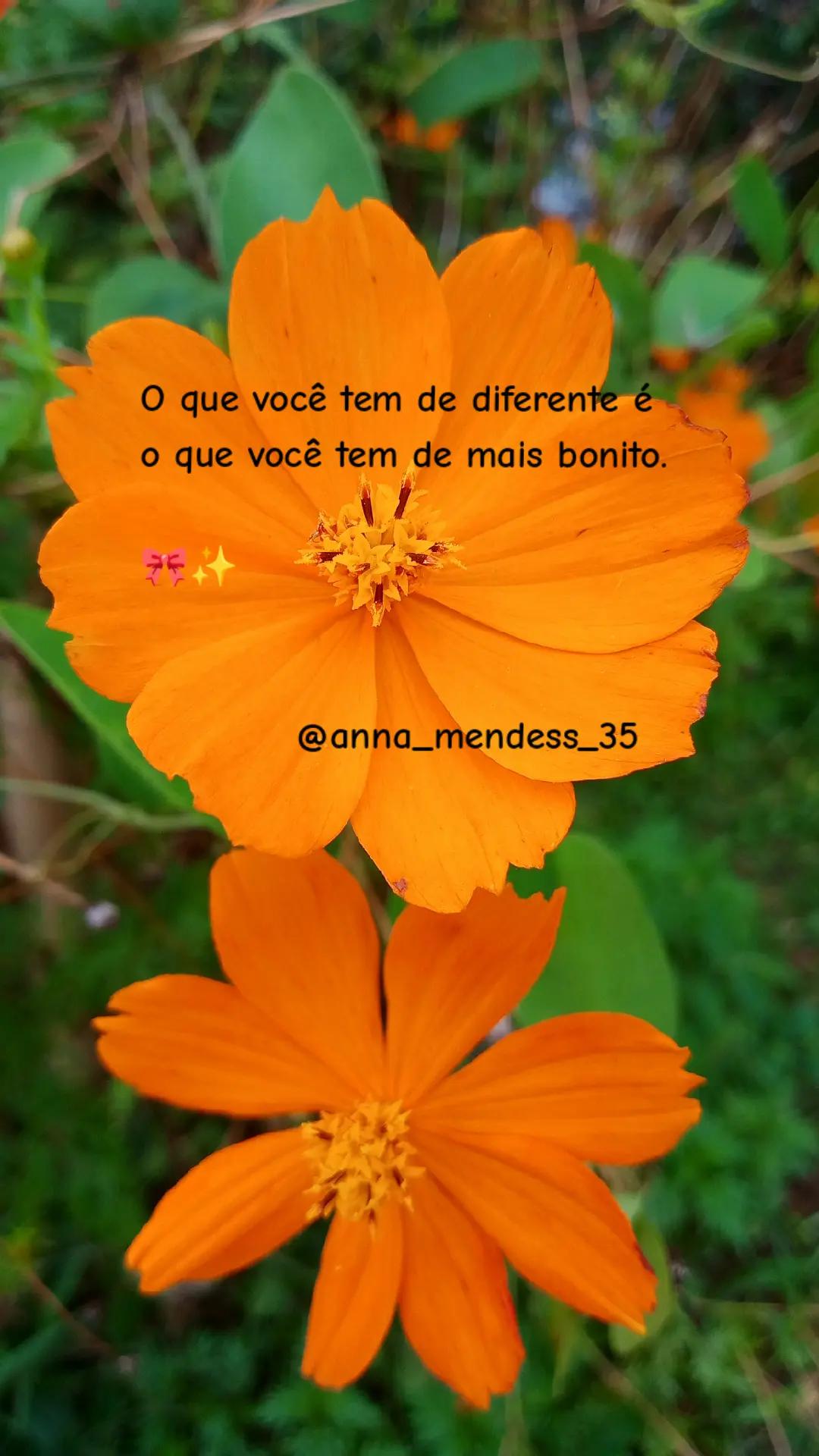 @..🍀
