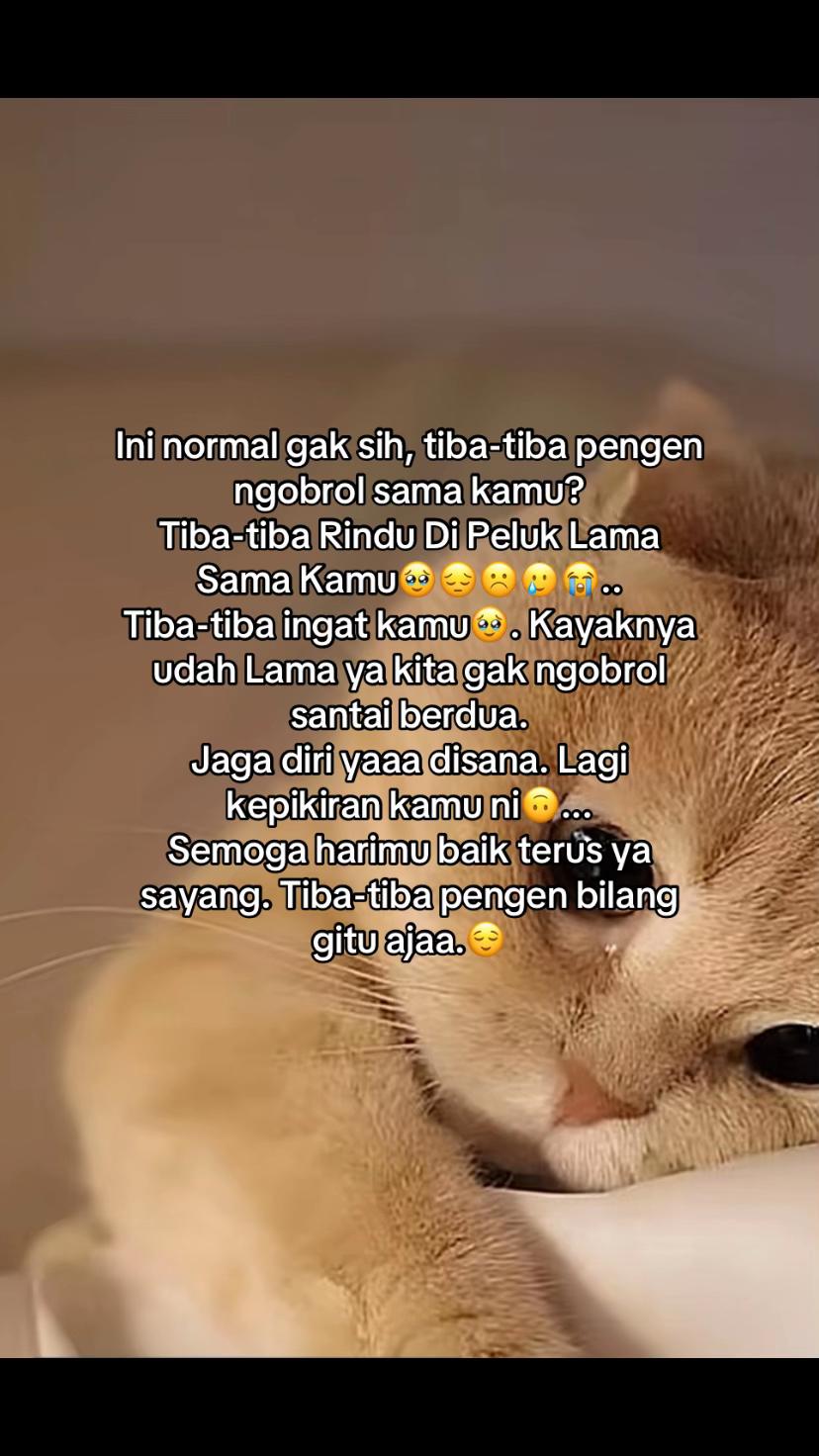 @ฦ๐พ๐ท๐๐๐ท๐ฐ โ
ฝ๐๐๐๐๐๐