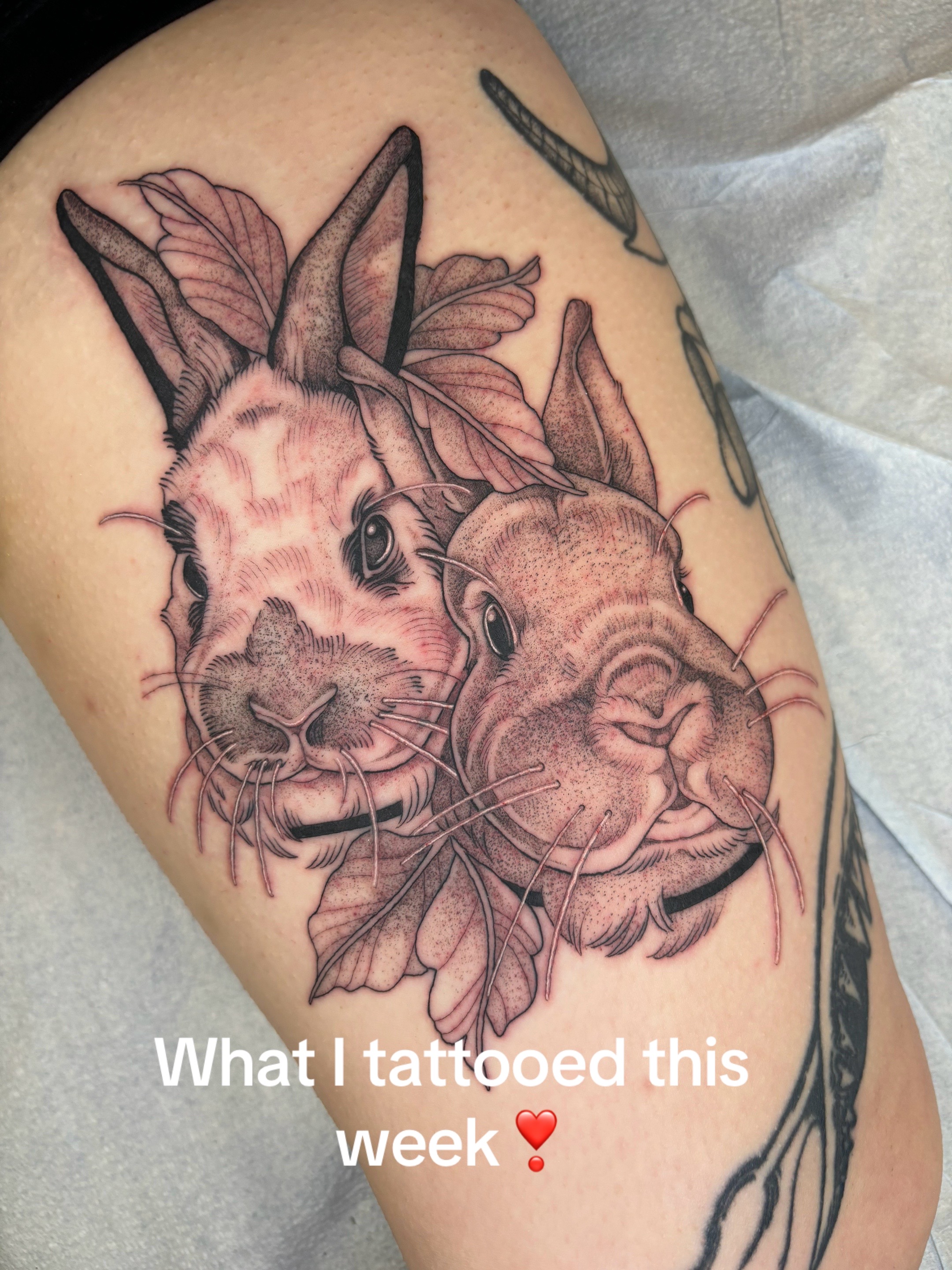 @Maken.ink