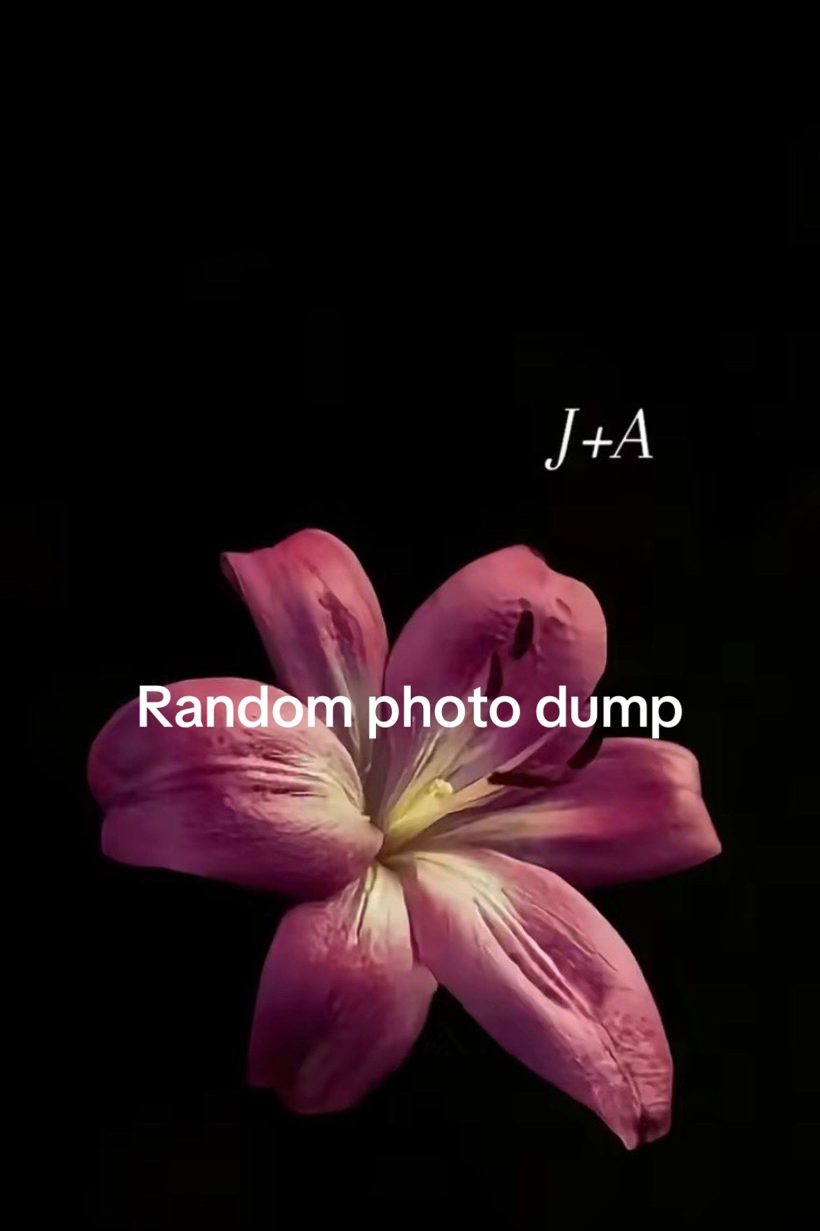 @addy.may6