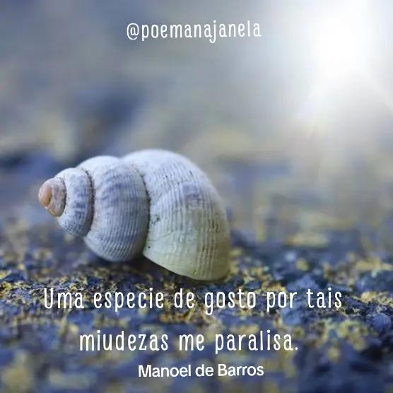 @Poema na Janela