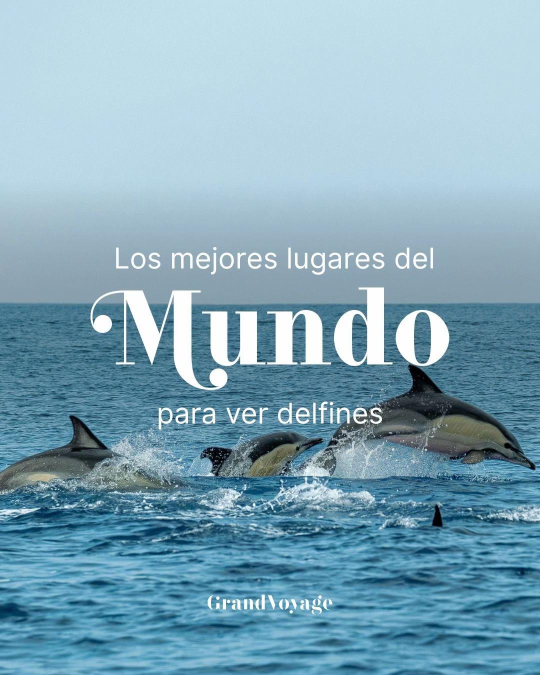 @GrandVoyage