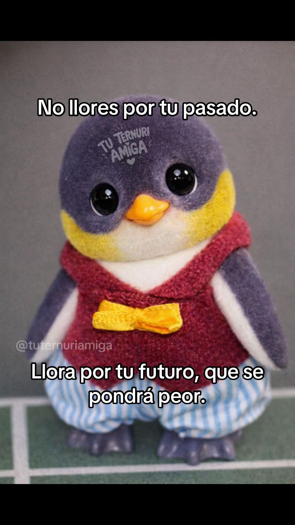 @TuTernuriAmiga💜