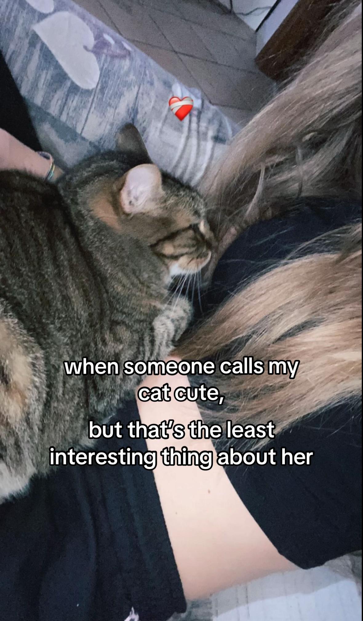 @🎀༘ ⋆ζ͜͡𝕲𝖍𝖔𝖘𝖙𝖌𝓲𝓻𝓵⋆🎀༘