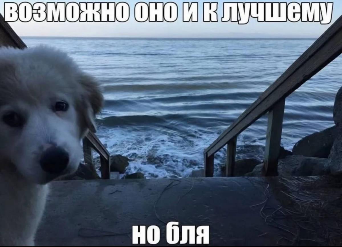@полюби меня