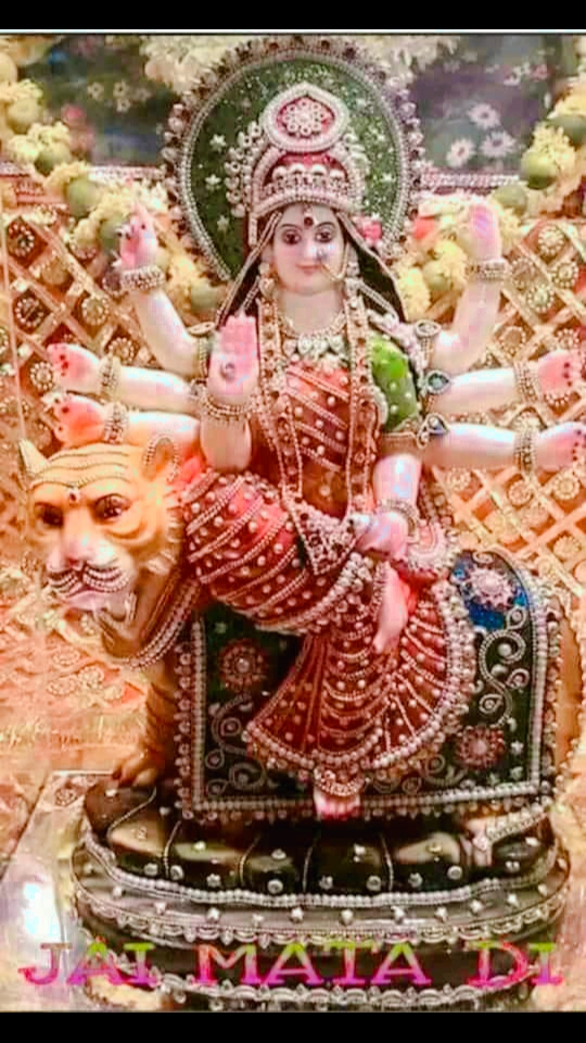 @Khatri Anand