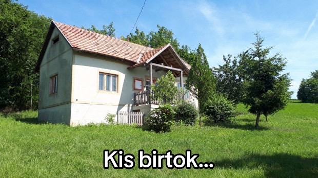 @Csuti